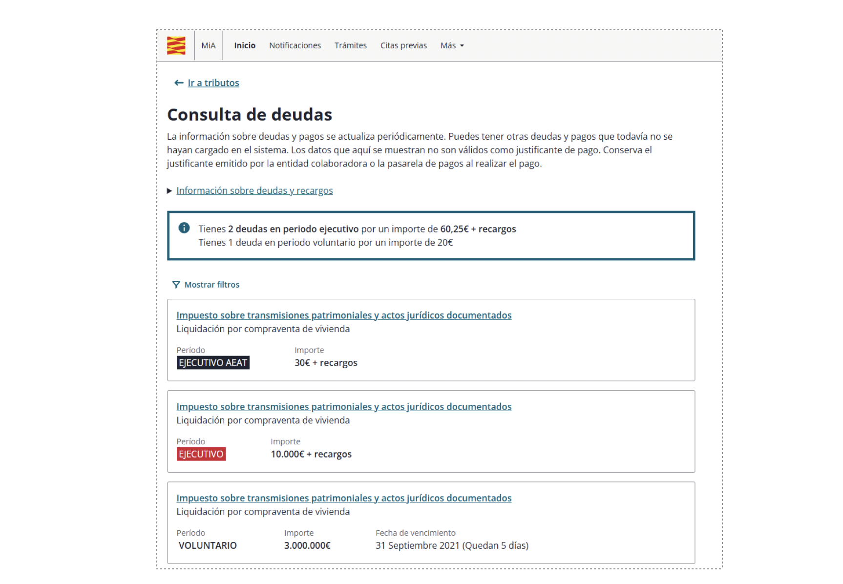 Visualización de deudas pendientes